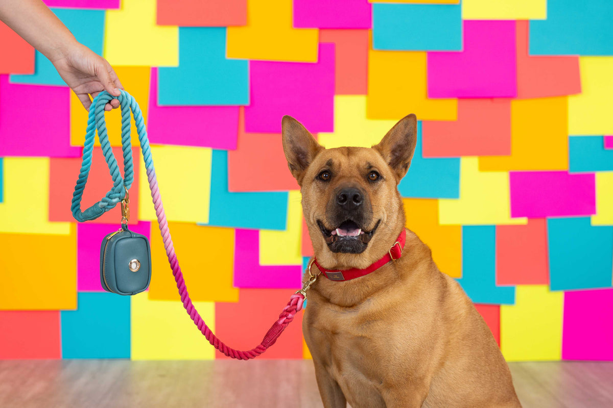 Micah Rope Dog Leash