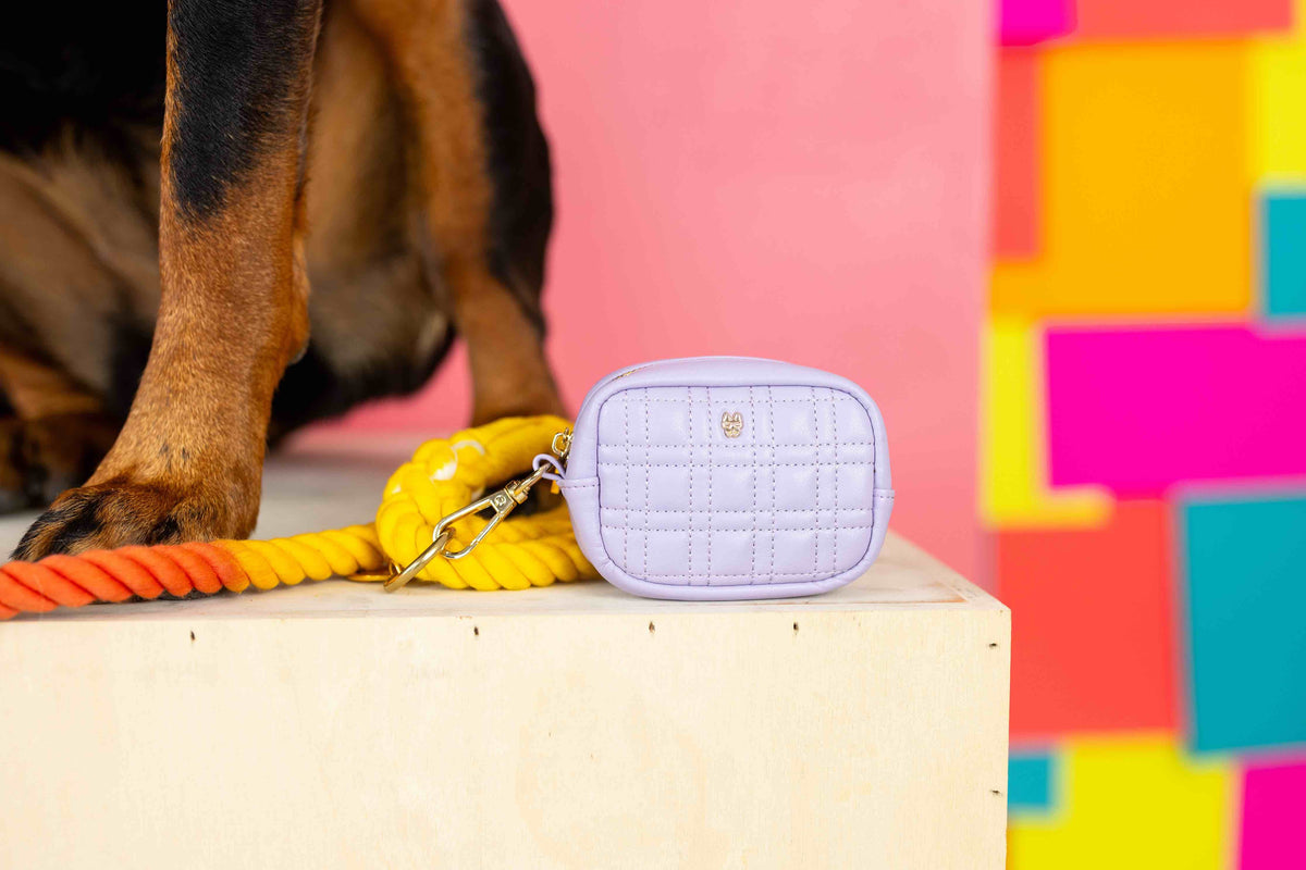 Ava Waste Bag Holder & Treat Pouch