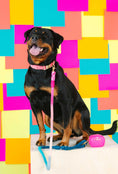 Load image into Gallery viewer, Maddox Rope Dog Leash
