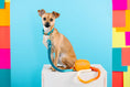 Load image into Gallery viewer, Keanu Waste Bag Holder & Treat Pouch
