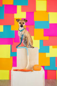 Load image into Gallery viewer, Beau Rope Dog Leash
