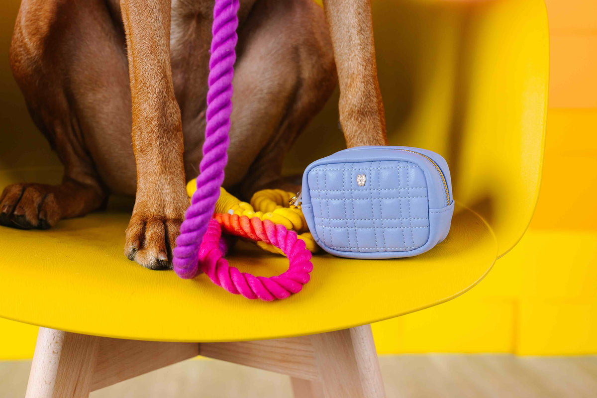 Ava Waste Bag Holder & Treat Pouch