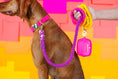 Load image into Gallery viewer, Roxy Rope Dog Leash
