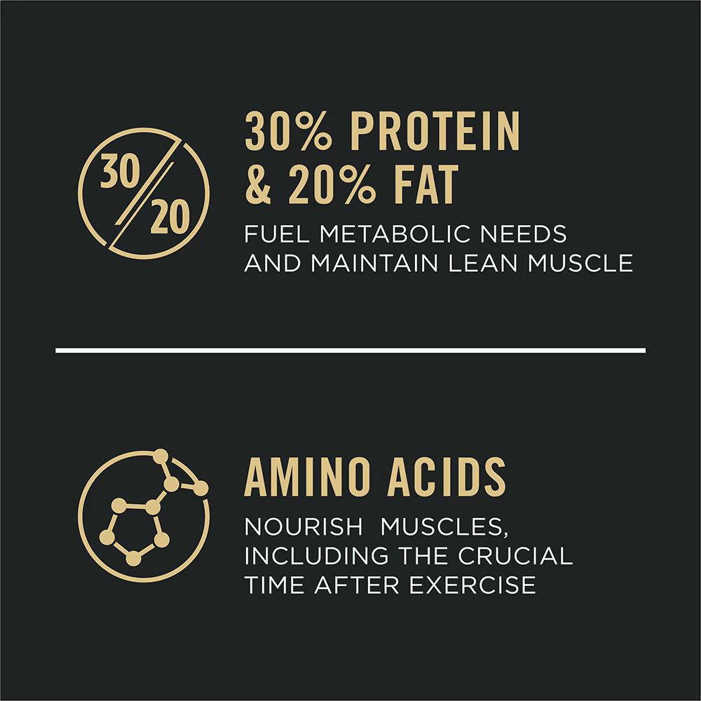 Pro Plan All Ages Sport Performance 30/20 Salmon & Rice Formula Dry Dog Food 