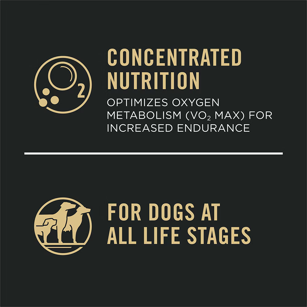 Pro Plan All Ages Sport Performance 30/20 Salmon & Rice Formula Dry Dog Food 