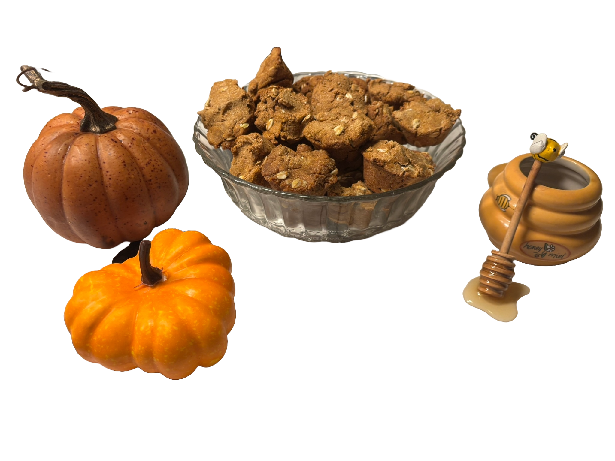 Organic Welcome Home Puppy Treat Bundle Dog Treats