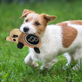 Load image into Gallery viewer, Purdue Plush Hedgehog Toy
