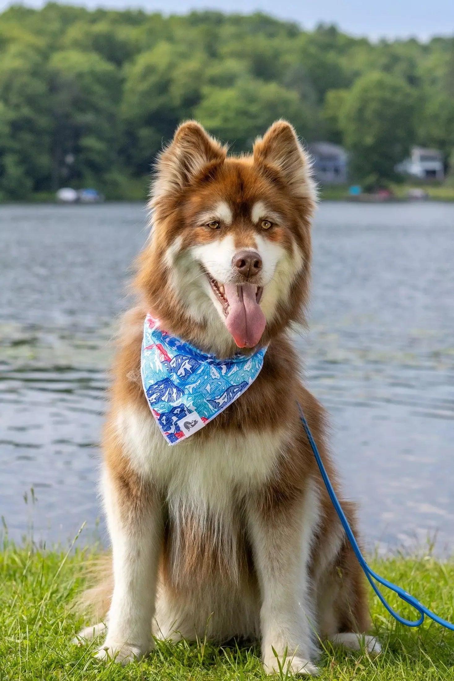 Painted Peaks Dog Bandana - Southlake Paws