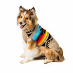 Painted Desert Southwest Sweater