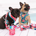 Load image into Gallery viewer, Frenchie Duo Reversible Harness - Paradise
