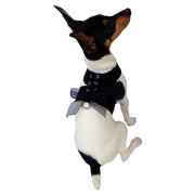 Parisian Corset Harness, Black 