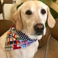 Load image into Gallery viewer, Madras Bandana Dog Collar
