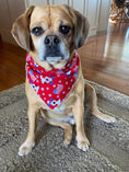 Load image into Gallery viewer, Patriotic Cute Dog Bandana
