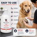 Load image into Gallery viewer, Paw Sani-Scrub - Gallon - Paw and Nail Cleanser
