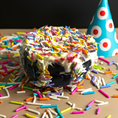 Load image into Gallery viewer, Organic PAWfetti Cakes Peanut Butter Frosted Rice Cake Dog Treat
