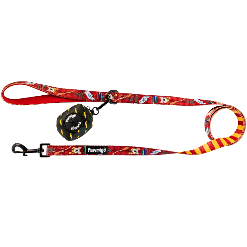 Pawgwarts Leash Kit - Southlake Paws