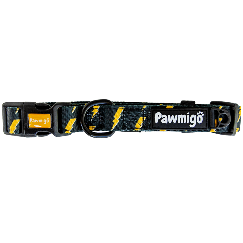 Pawgwarts Classic Collar - Southlake Paws