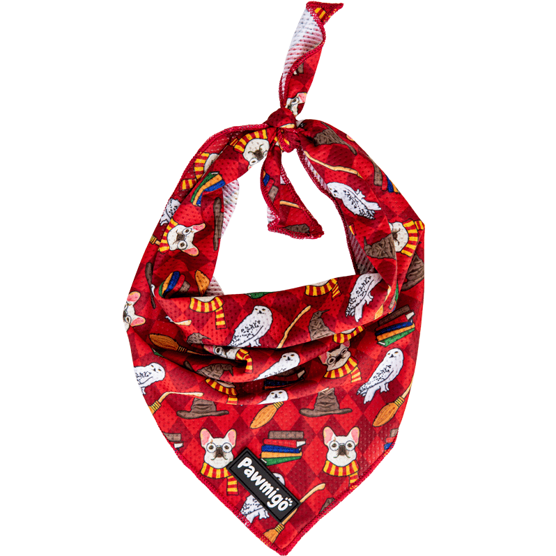 Pawgwarts Cooling Bandana - Southlake Paws