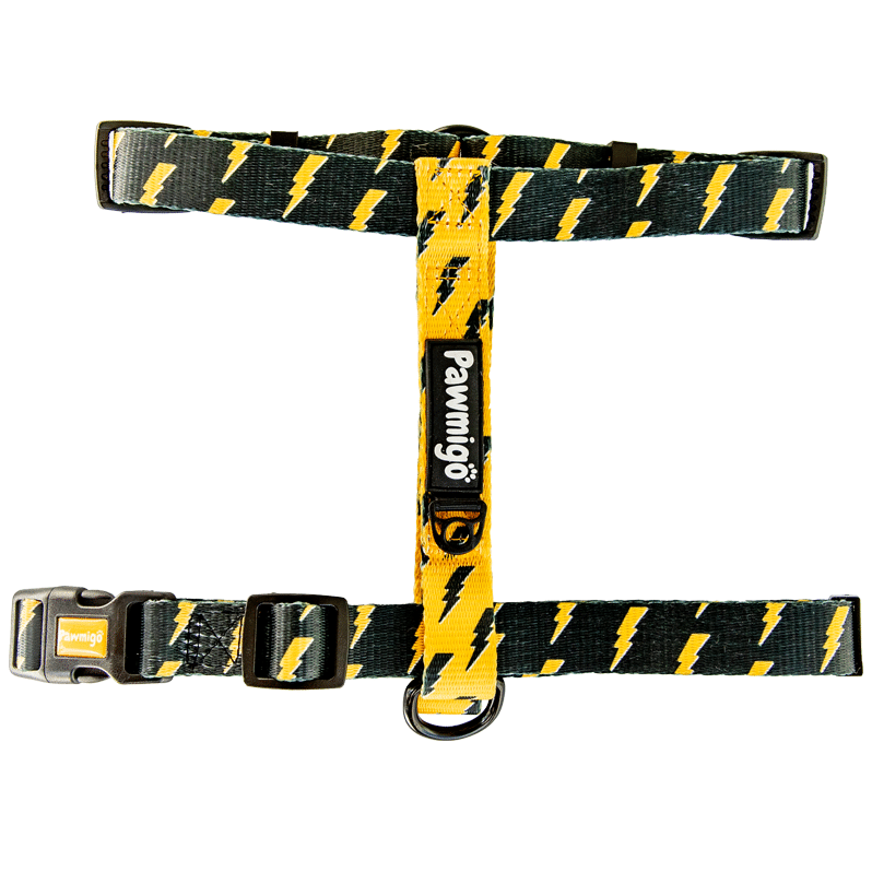 Pawgwarts Free-Fit Harness - Southlake Paws