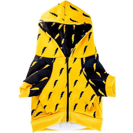 Pawgwarts Hoodie - Southlake Paws