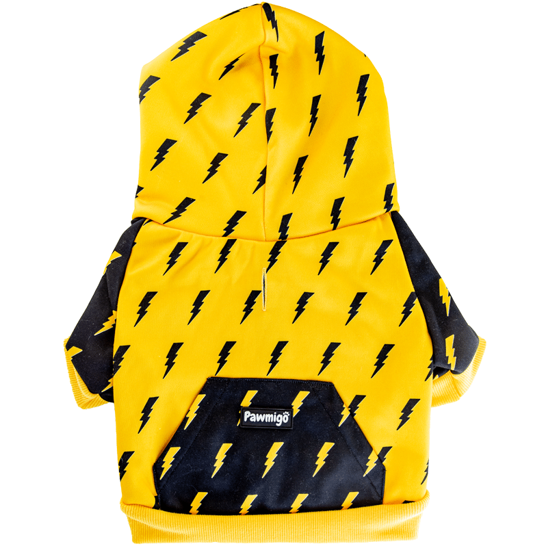 Pawgwarts Hoodie - Southlake Paws