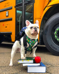 Load image into Gallery viewer, Teacher's Pet Reversible Harness - Southlake Paws
