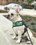Load image into Gallery viewer, Teacher's Pet Reversible Harness - Southlake Paws

