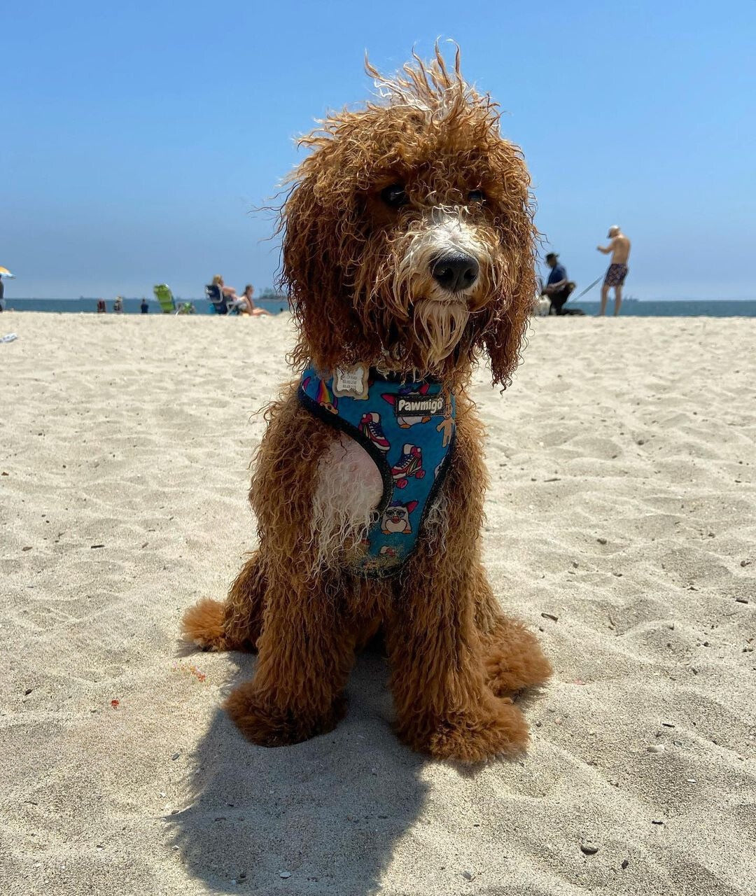 90s Baby Reversible Harness - Southlake Paws