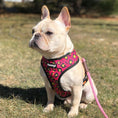 Load image into Gallery viewer, 90s Baby Reversible Harness - Southlake Paws
