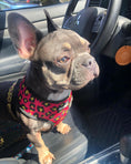 Load image into Gallery viewer, 90s Baby Reversible Harness - Southlake Paws
