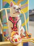 Load image into Gallery viewer, Snack Shack Leash Kit - Southlake Paws
