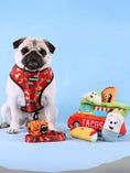 Load image into Gallery viewer, Taco Tuesday Leash Kit - Southlake Paws
