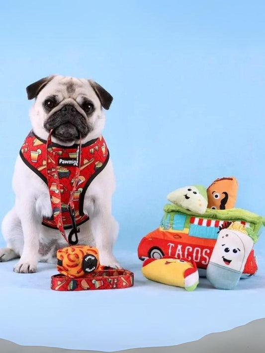 Taco Tuesday Leash Kit - Southlake Paws