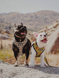Load image into Gallery viewer, Wild Thing Leash Kit - Southlake Paws

