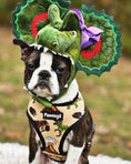 Load image into Gallery viewer, Jurassic Bark Reversible Harness - Southlake Paws
