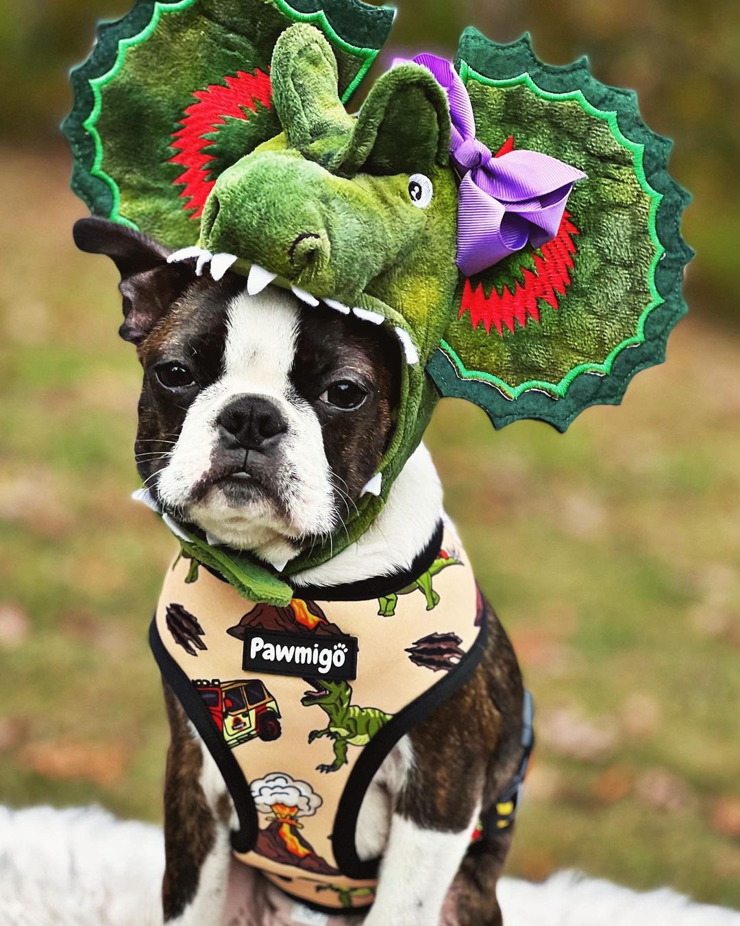 Jurassic Bark Reversible Harness - Southlake Paws