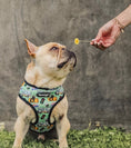 Load image into Gallery viewer, Muddy Paws Reversible Harness - Southlake Paws
