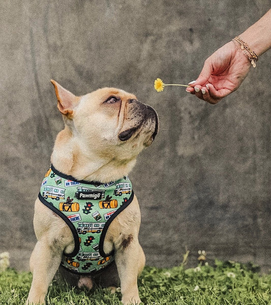 Muddy Paws Reversible Harness - Southlake Paws