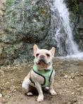 Load image into Gallery viewer, Muddy Paws Reversible Harness - Southlake Paws
