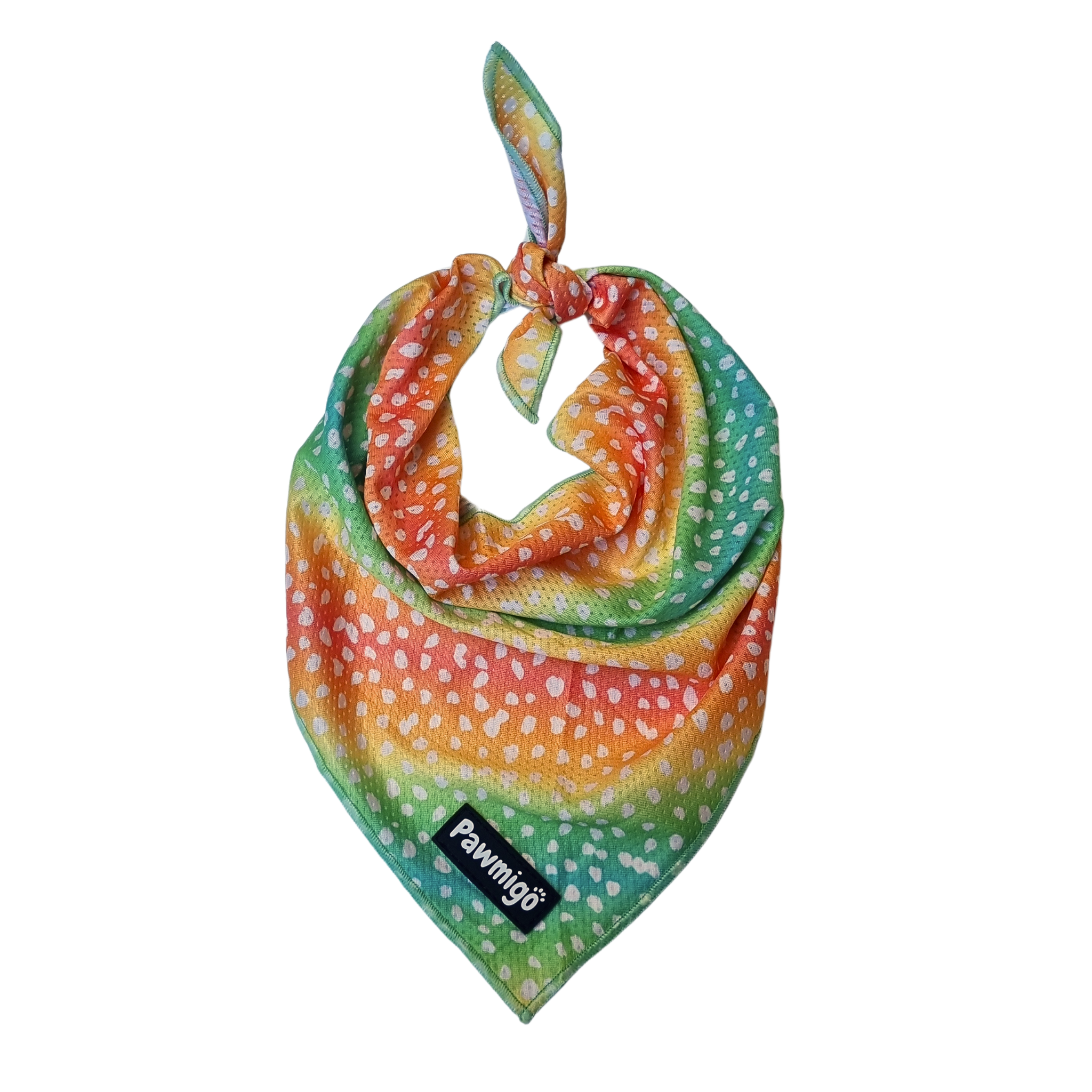 Chasing Rainbows Cooling Bandana - Southlake Paws