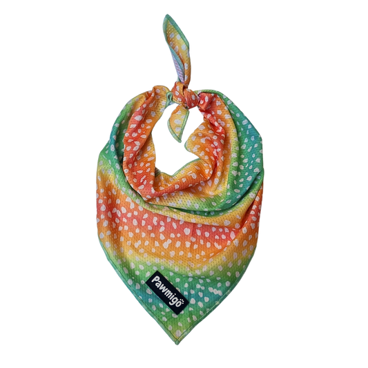 Chasing Rainbows Cooling Bandana - Southlake Paws