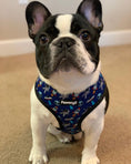 Load image into Gallery viewer, Extra-Furrestrial Reversible Harness - Southlake Paws
