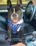 Load image into Gallery viewer, Extra-Furrestrial Reversible Harness - Southlake Paws
