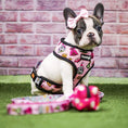 Load image into Gallery viewer, Fairytail Reversible Harness - Southlake Paws
