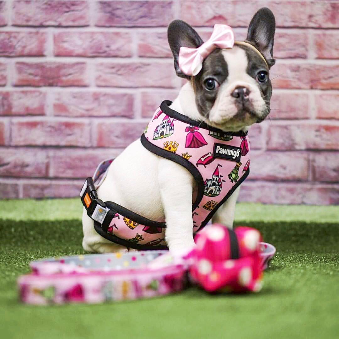 Fairytail Reversible Harness - Southlake Paws