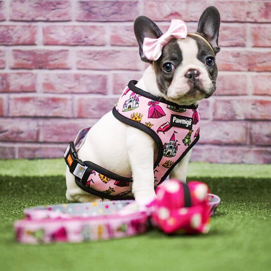 Fairytail Reversible Harness - Southlake Paws