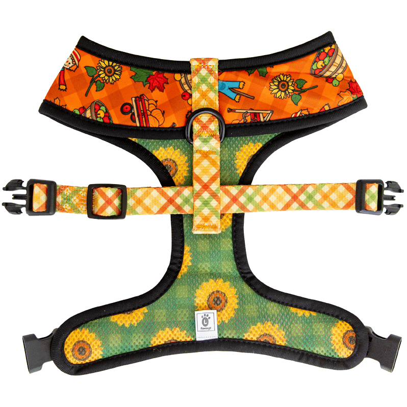 Pupkin Patch Reversible Harness - Southlake Paws