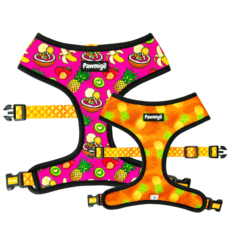 Snack Shack Reversible Harness - Southlake Paws