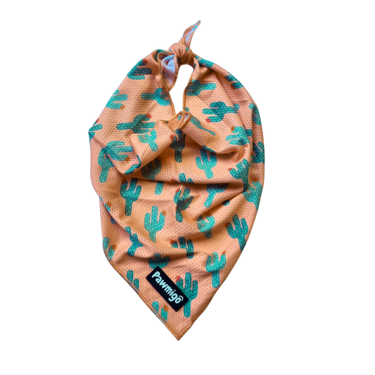 Succa For You Cooling Bandana - Southlake Paws