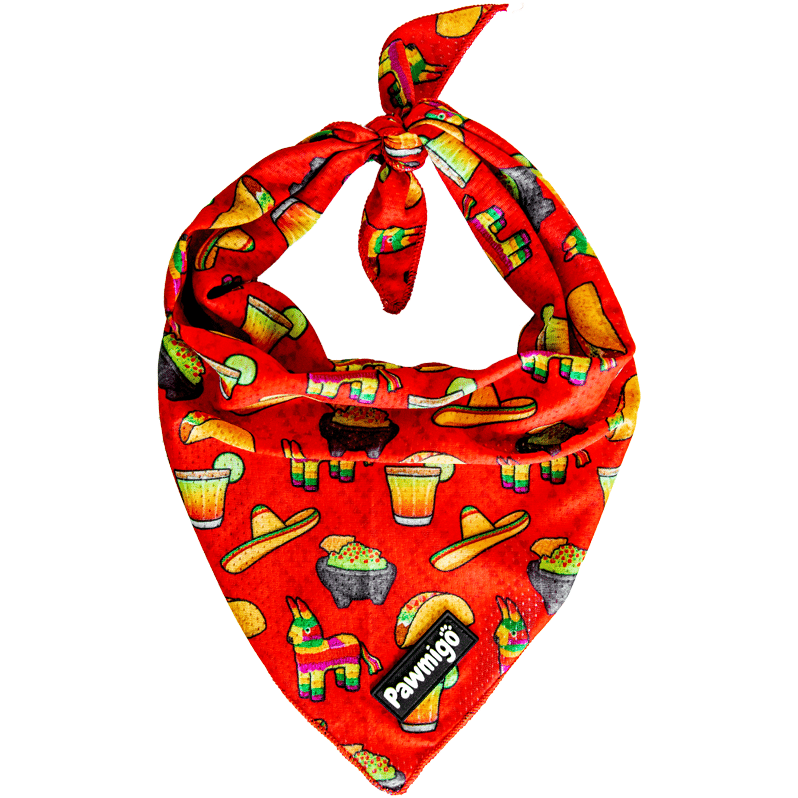 Taco Tuesday Cooling Bandana - Southlake Paws